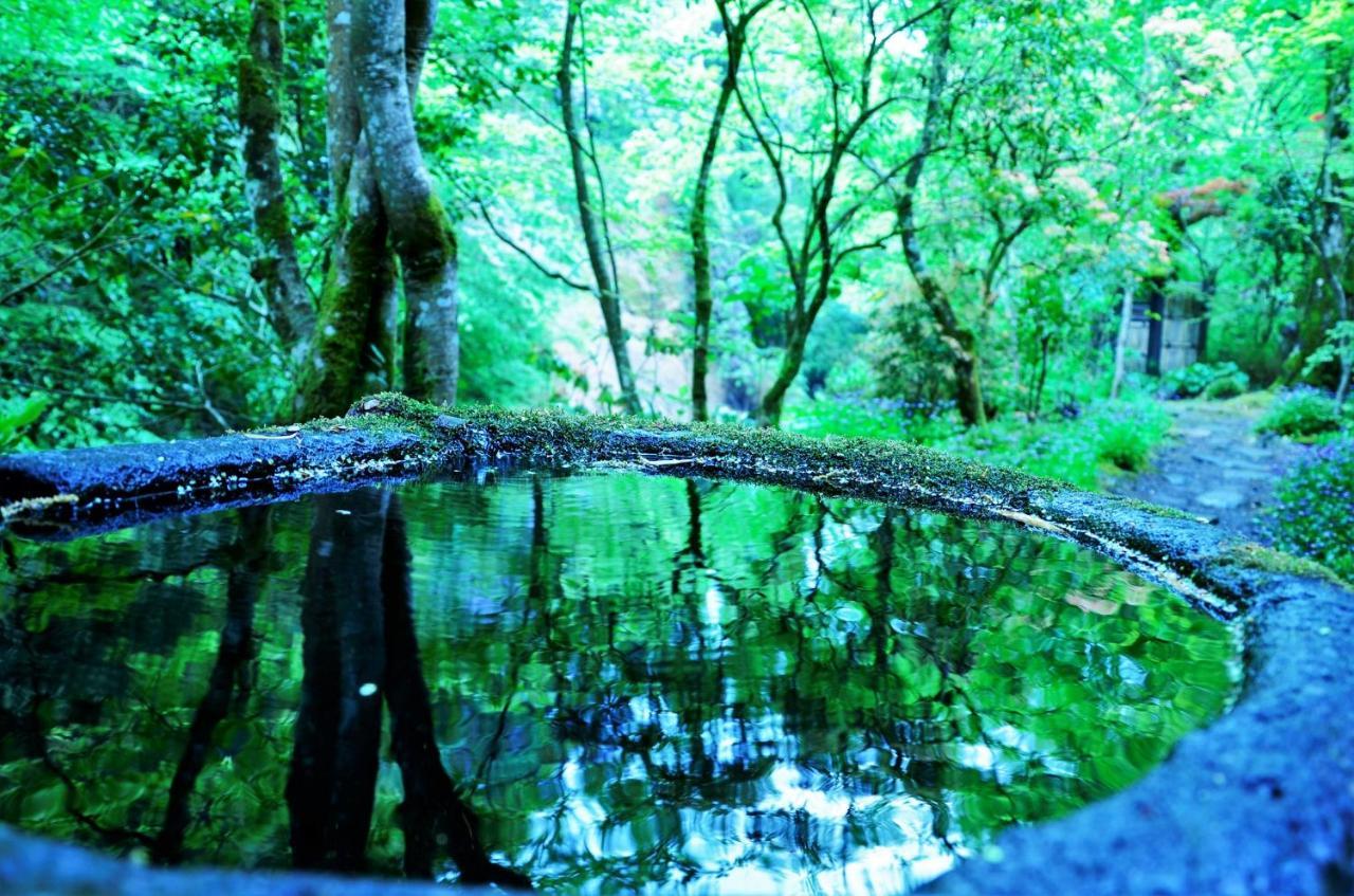 Kurokawa Onsen Oku No Yu Otel Minamioguni Dış mekan fotoğraf