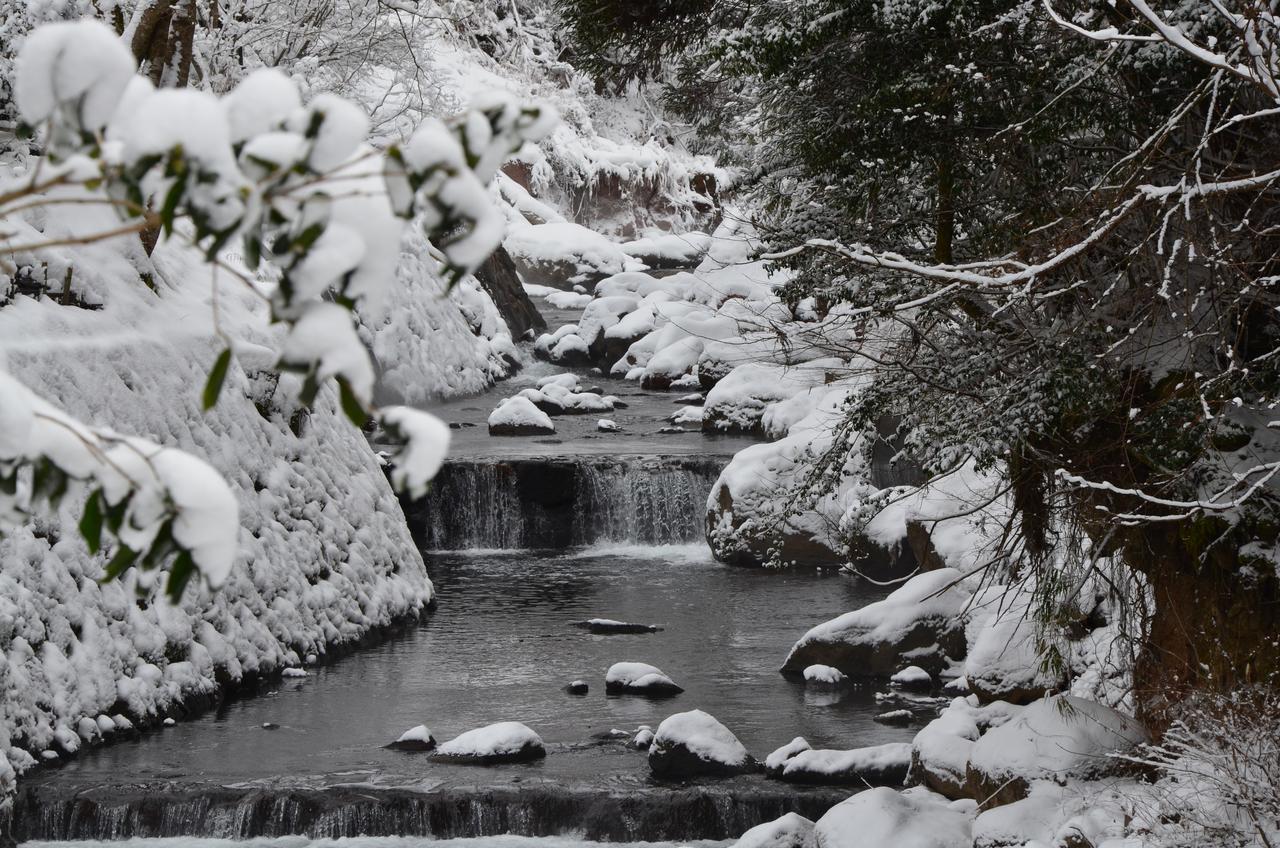 Kurokawa Onsen Oku No Yu Otel Minamioguni Dış mekan fotoğraf